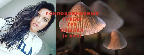 прущий лед Белокуриха